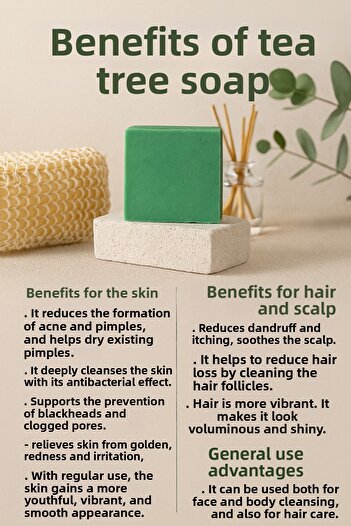 Newleaf 4 Pieces of Tea Tree Soap – Acne-Fighting & Antiseptic Facial Cleansing Soap 110g