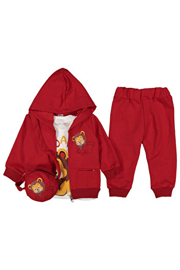 STEEL BABY BABY BOY CARDIGAN WITH BAG LION MODEL 4 PIECES COMFORTABLE SET