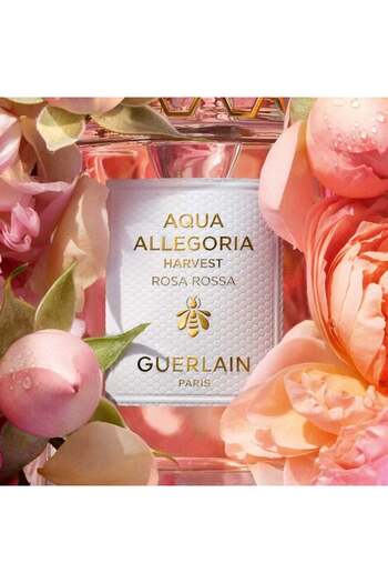 Guerlain , Aqua Allegoria Harvest Rosa Rossa, Eau De Toilette, For Women, 125 ml