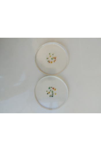 karelim home 2-Piece Coaster with Floral Details, Epoxy, Stylish Presentation, Special Series
