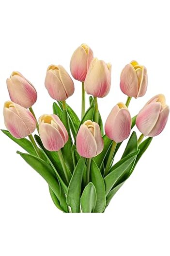 Generic FDTY 20pcs Real Touch Artificial Flowers Tulips,Latex Fake Tulips Flowers Bouquet,Mothers Day Tulips