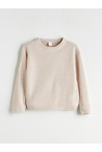 LC Waikiki Crew Neck Knitwear Boy's Sweater