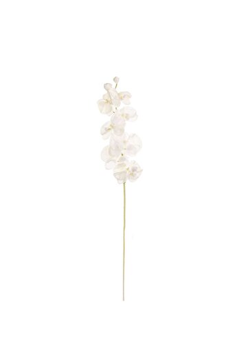 OEM Floare Artificiala cu Tulpina Lunga Orhidee Alba 74cm