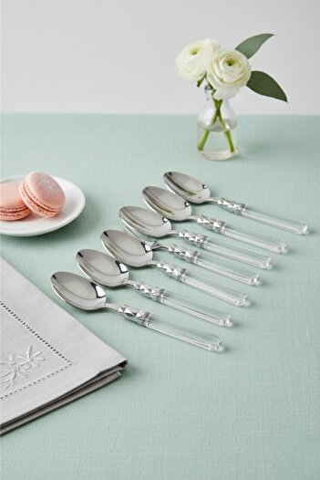 EWs Set of 6 Stainless Steel Transparent Dessert Spoons