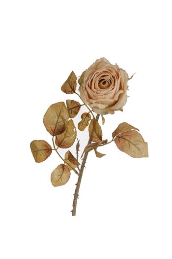 OEM Artificial Flower with Long Stem Cream Rose 76cm