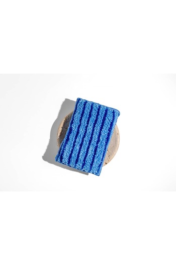 Silva Dish sponge