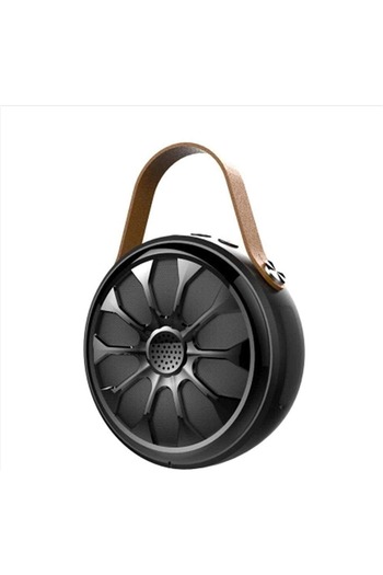Datazone IP67 water and dust resistant wireless speaker