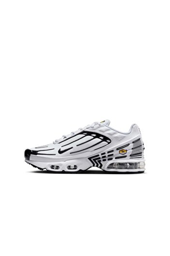Nike Air Max Plus 3 GS FN3845-100
