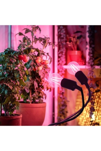 Kobi Plant lamp PLANTY, 2xE27, black, Design
