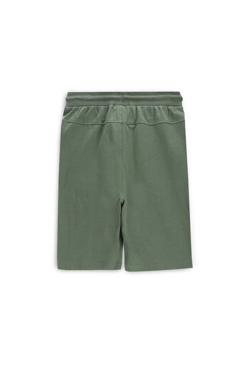 Coccodrillo Boy Sports shorts WC5121501VBC Multicolor