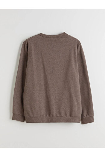 LC Waikiki Lcw Kids Brown Crew Neck Boys' Sweatshirt