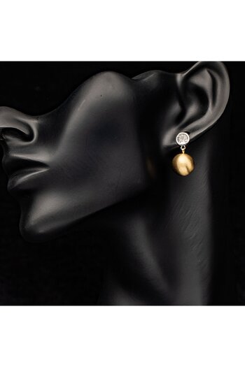 ElectraStore Shiny Gold Plated Earrings