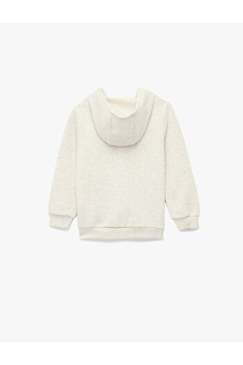 Koton Beige Baby Girl Sweatshirt 6Wmg10094Ak