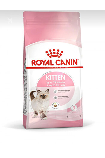 Yiğit Kitten food