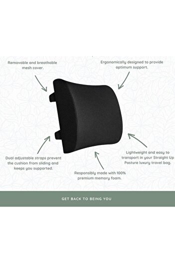 SKY TOUCH SKY-TOUCH Lumbar Support Pillow Back Support for Office Chair With Dual Straps Ergonomic Office Chai