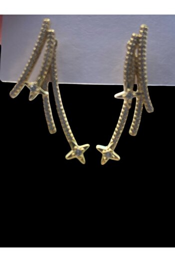 VEGALUXE Stylish Design Earrings with Steel Star