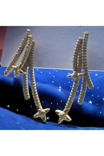 VEGALUXE Stylish Design Earrings with Steel Star