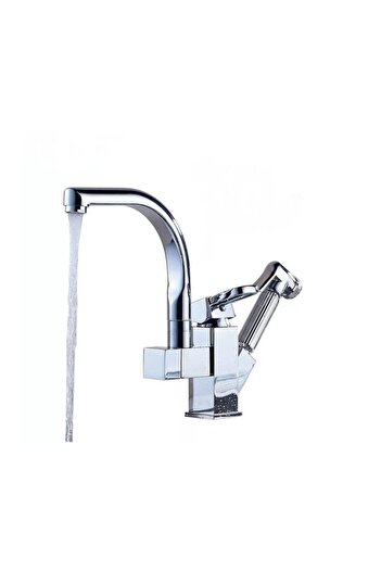 Trendy's Single-lever kitchen faucet with two water jets, swan neck and extractable shower