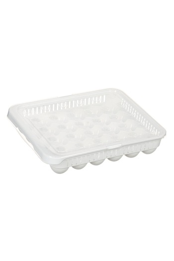 ANTBRO Cofraj pentru 30 oua din plastic 0% BPA Antbro®, alb cu capac de plastic ce se inchide