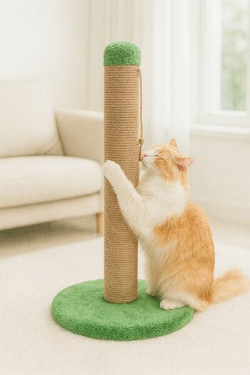 Reyo Pet Round Cat Scratching Platform Green