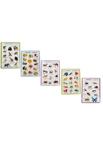 Picodino Wooden puzzle set, 5 interlocking boards in Romanian and English, 63 pieces,