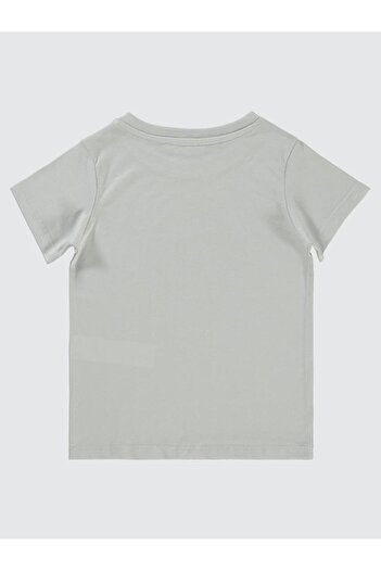 Civil Boys Nft Worl Monkey Printed T-Shirt for Ages 2-5 - Gray 5-6 Years Old