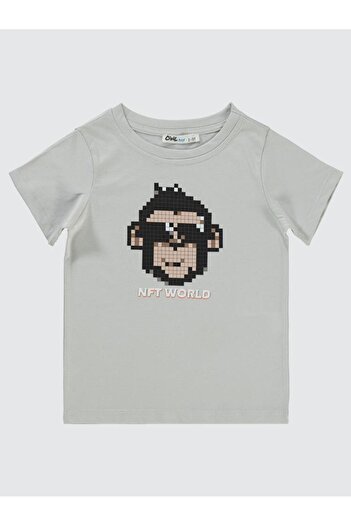 Civil Boys Nft Worl Monkey Printed T-Shirt for Ages 2-5 - Gray 3-4 Years Old