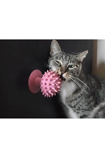 PUREYSMA Mushroom Cat Scratching Toy (Pink Color) – Nuthouse Mushroom |   Catnip Compatible, Can Be Pasted to the Wall