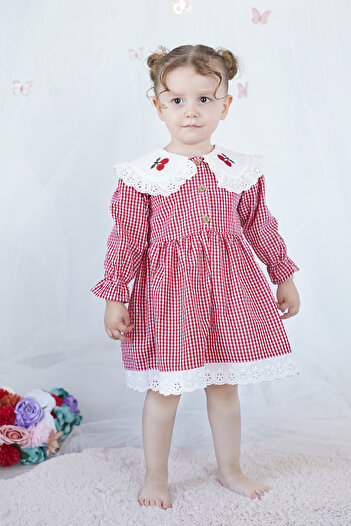 ALYRA Baby Girl Dress Gingham Cherry Red Birthday Party Wedding Special Occasion Girls' Casual Dress