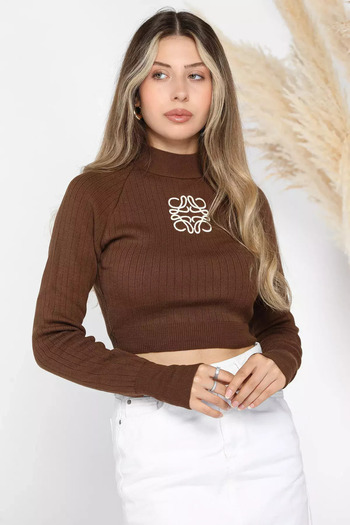 julude Coffee Color Pre-Embroidered Crop Top Knit Blouse