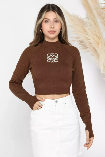 julude Coffee Color Pre-Embroidered Crop Top Knit Blouse