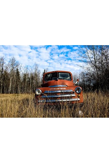Alista Home Decorative wall painting with wooden frame, 33cm x 24cm, car5528