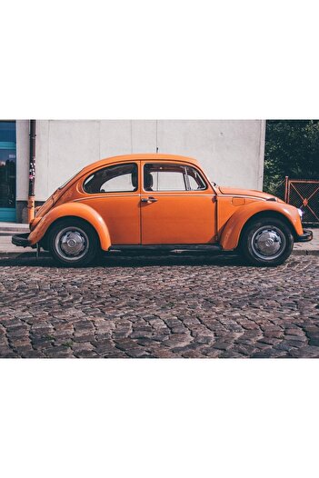Alista Home Decorative wall painting with wooden frame, 33cm x 24cm, car5489