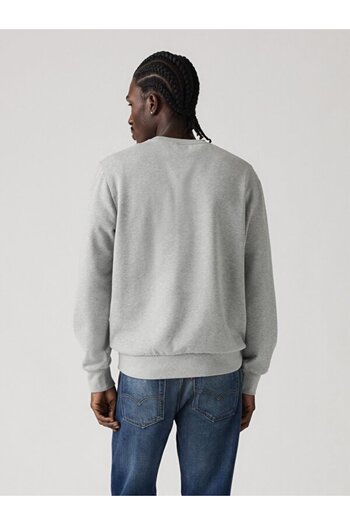 Levi's Standard Graphic Sweatshirt