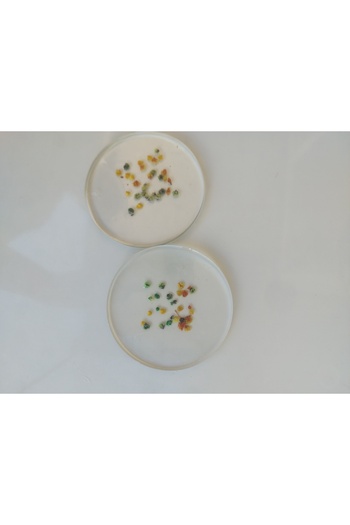karelim home 2-Pack Coaster with Floral Details, Epoxy, Stylish Presentation, Special Series