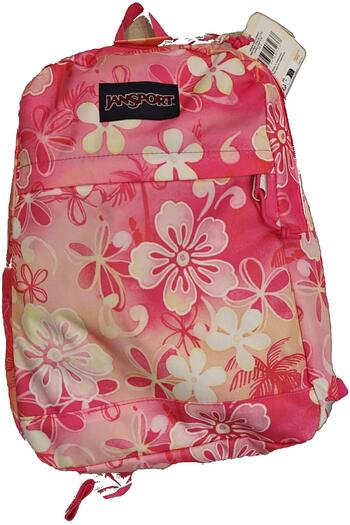 Jansport Ek0A5Blc0W71 Metro Pack Lite Backpack and School Bag