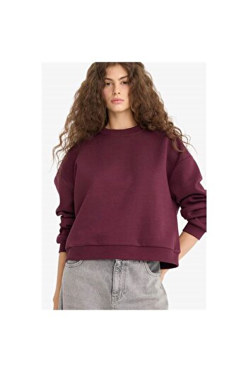 DeFacto Regular Fit Crew Neck Thick Sweatshirt D6645Ax25Wn