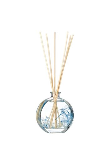 SHOPIENS Room Freshener Oil with Voyager Aroma and Sticks Shopiens®, 100 ml