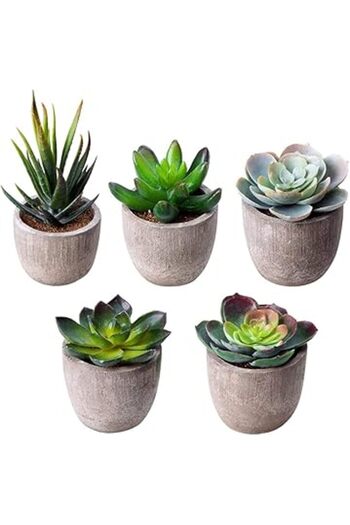 Generic Funito Artificial Succulent Plants, Assorted Decorative Faux Succulent Potted Fake Cactus Cacti Plan
