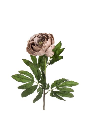 OEM Floare Artificiala cu Tulpina Lunga Bujor Mocca 70cm