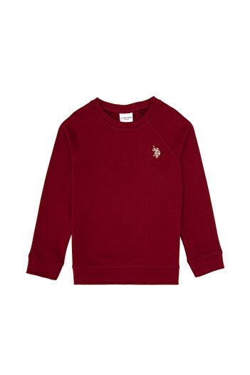 U.S. Polo Assn. Boy's Burgundy Basic Sweatshirt 50313832-Vr014