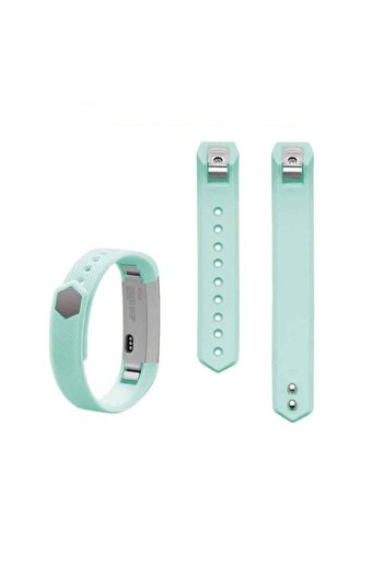 Edman Bracelet Strap for Fitbit Alta/Fitbit Alta HR, size S, Mint
