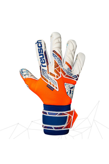 Reusch Attrakt Freegel Gold Nc Goalkeeper Glove 5570135-2500