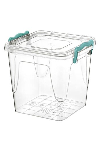 SHOPIENS Plastic Storage Box with Lid and Green Handles, Transparent, 3.7L