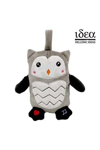 OEM My First Owl with Sound Speaking Romanian - Idea