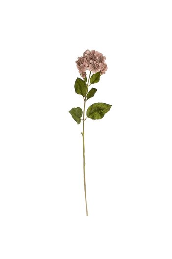 OEM Floare Artificiala cu Tulpina Lunga Hortensie Mocca 70cm