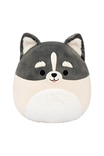 Squishmallows Pomsky Paolo 30cm Cr07961