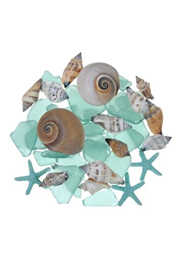 SHOPIENS Decoratiune Shopiens® in forma de Scoici Decorative Melci si Pietricele, 200 g