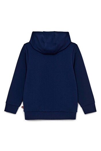 LEGO Boy Sweatshirt 11010295 Multicolor