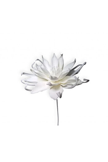 OEM Decorative flower Echeveria alba, H100cm